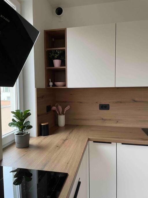 Apartmán Mely Rose Lublaň Exteriér fotografie
