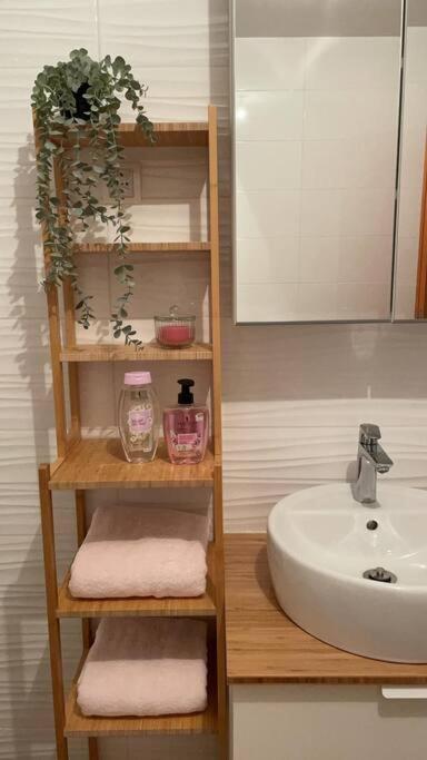 Apartmán Mely Rose Lublaň Exteriér fotografie