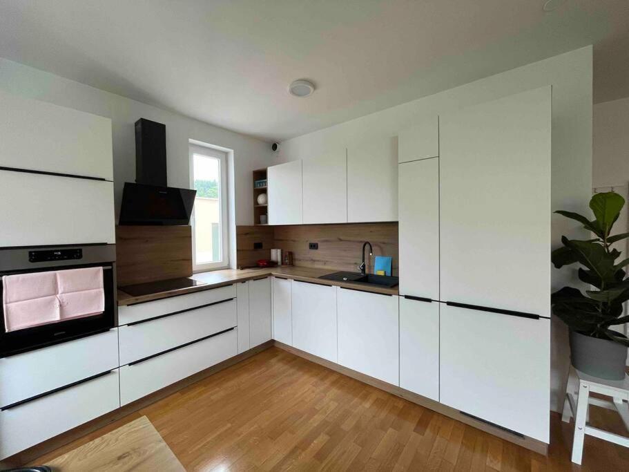 Apartmán Mely Rose Lublaň Exteriér fotografie
