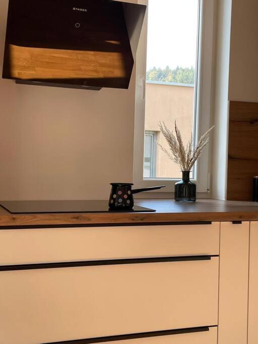 Apartmán Mely Rose Lublaň Exteriér fotografie